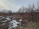 67d3149fd01249.11081774