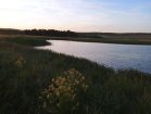 684296f017dde7.58816951
