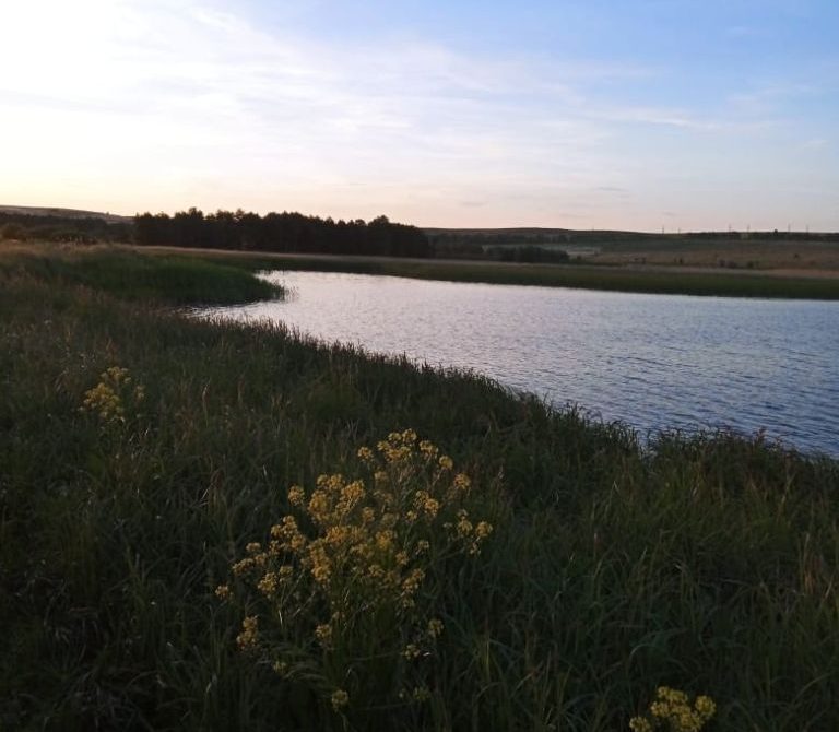 684296f017dde7.58816951
