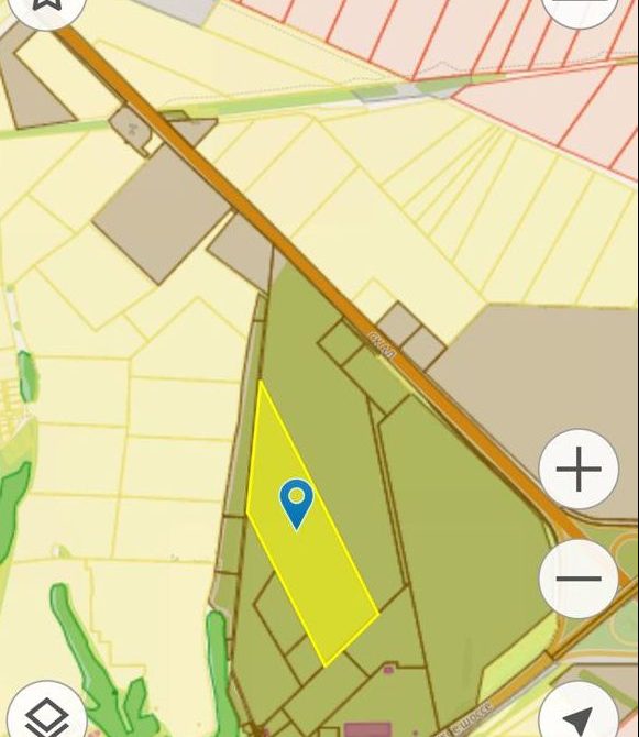 67befeb29756f7.08753133