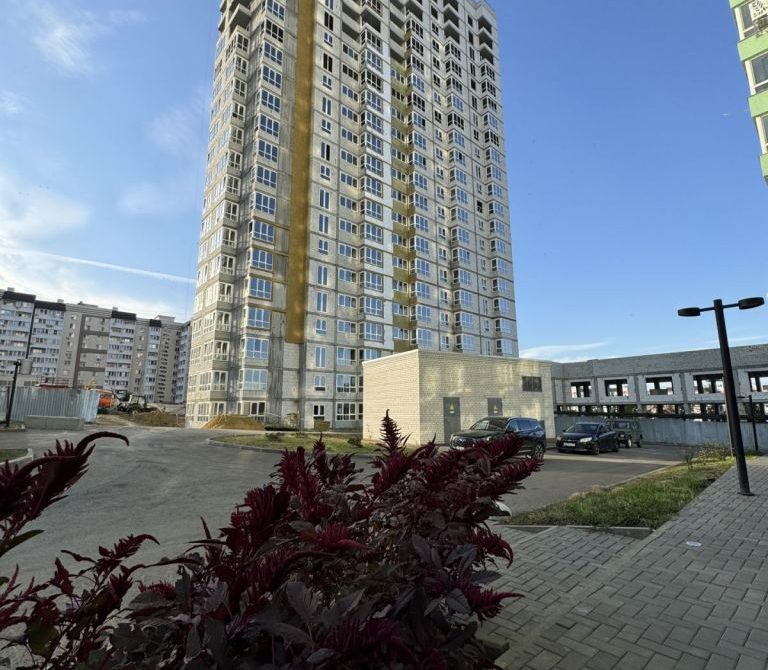 67bf0b17677647.21914375