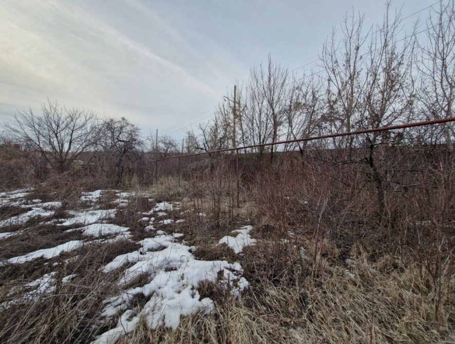 67d3149fd01249.11081774