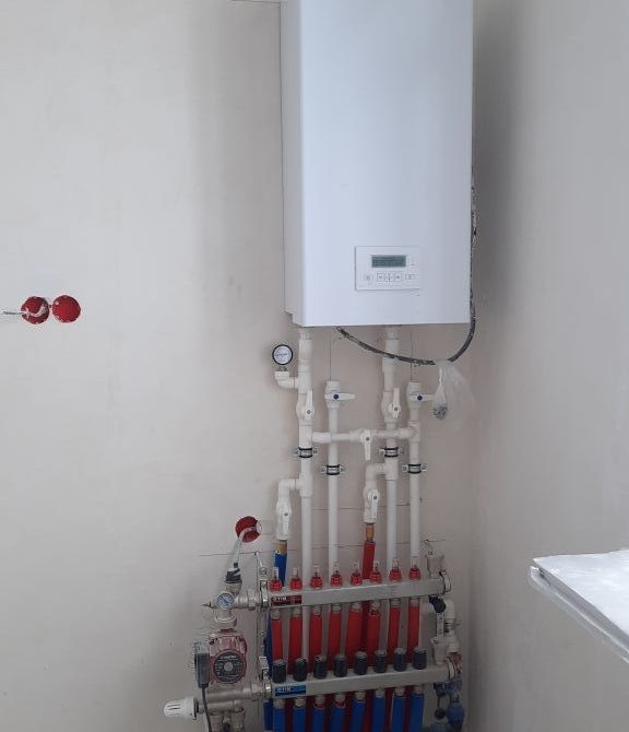 67ea9fe88986f0.81065732