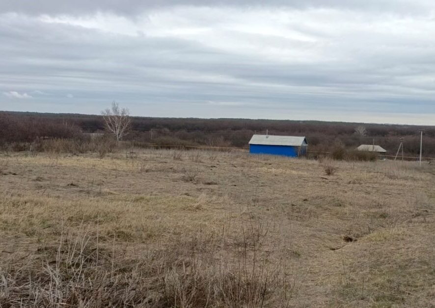 67f3c74635d399.36489537