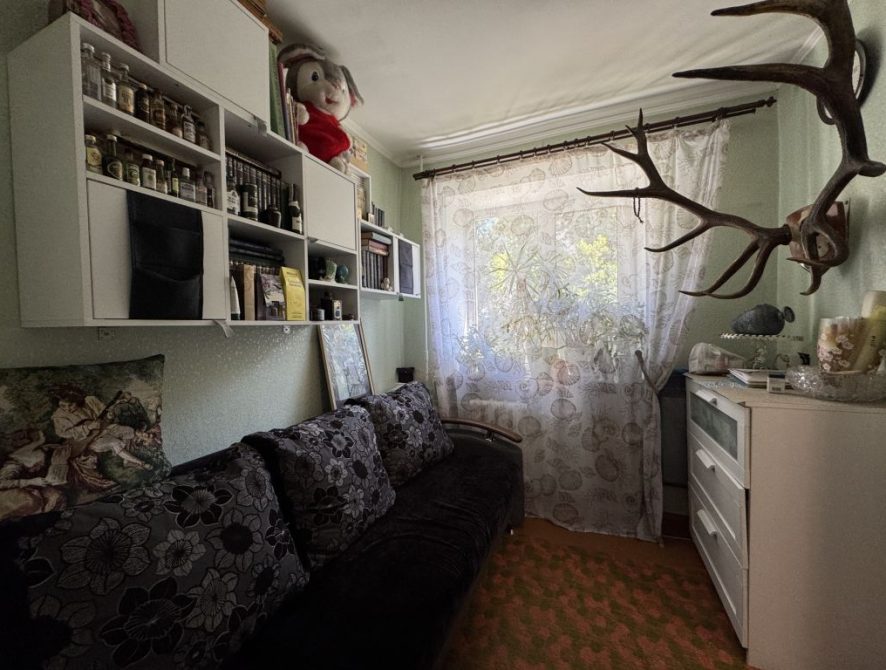 6867ae406535a1.15389800