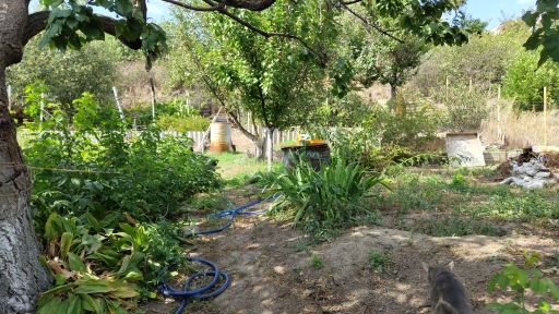 68ab4d5e5e31b8.99275772