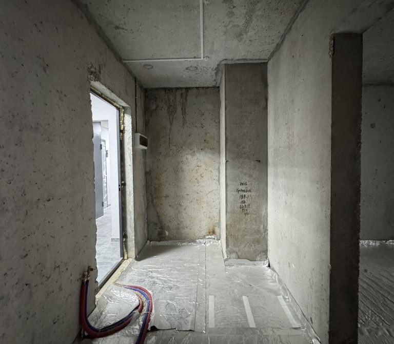 68fe65a6b03656.56422525