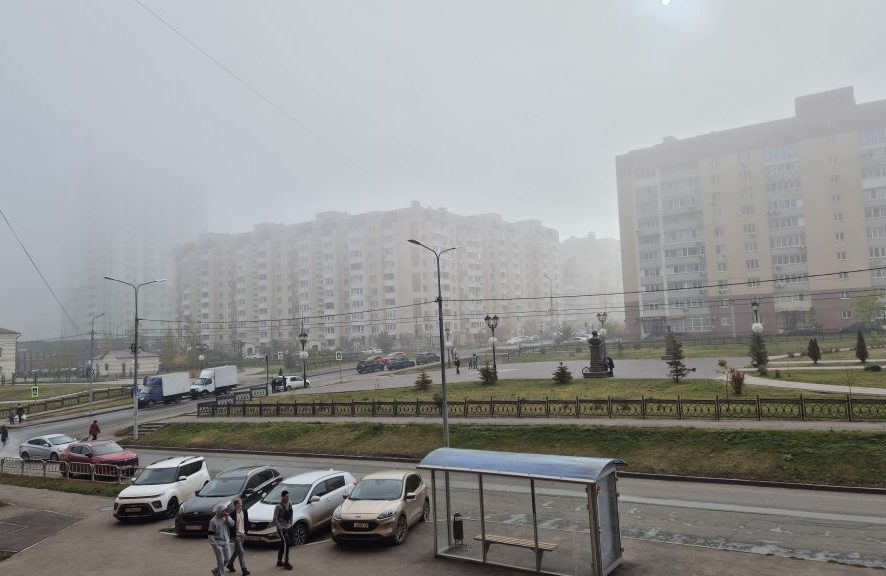 69008e0b8803e1.19272863