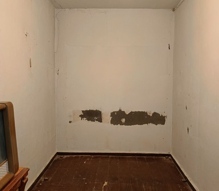 6900a5ba806148.77120881