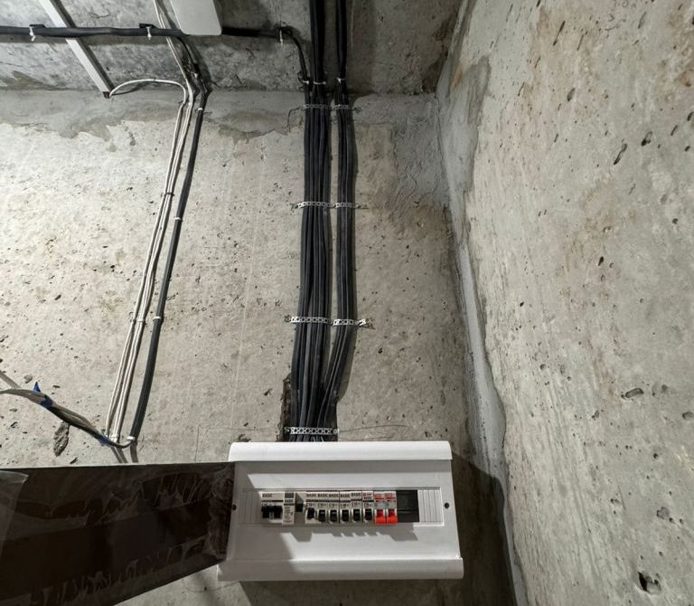 67bec581486d93.27010447