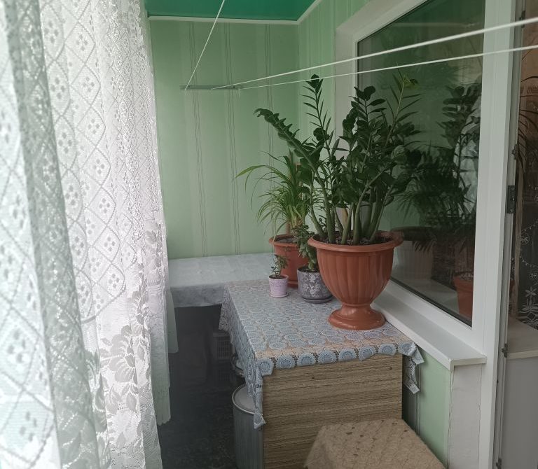 6877787e5998e6.18560968