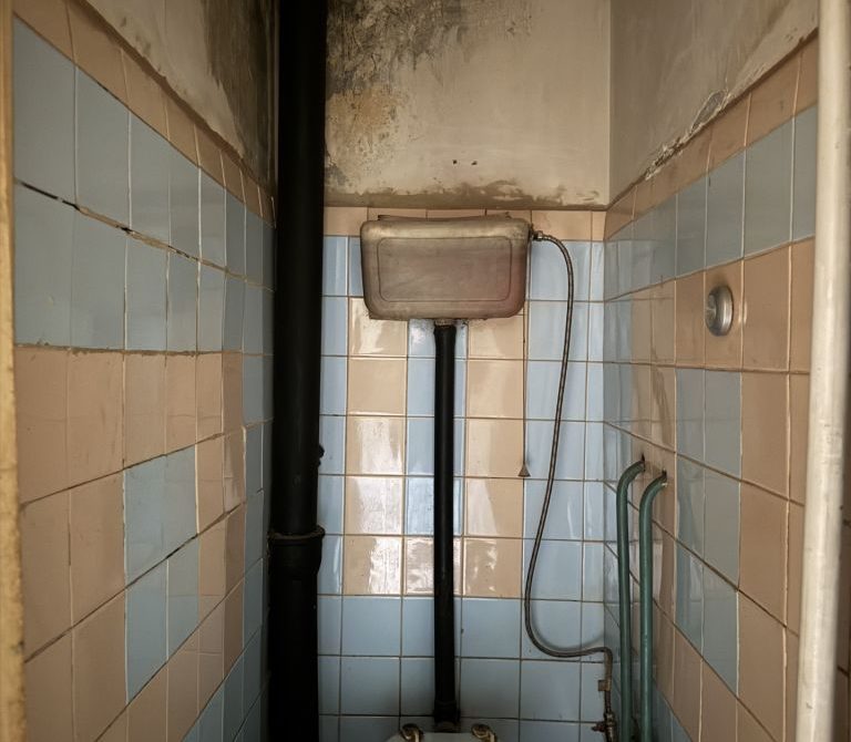 68d6295fa77a28.16397821