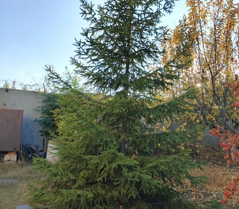 691b02bfbe1964.48930614