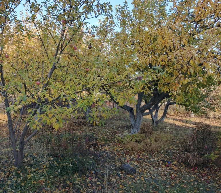 691b02c340e5c5.97239167