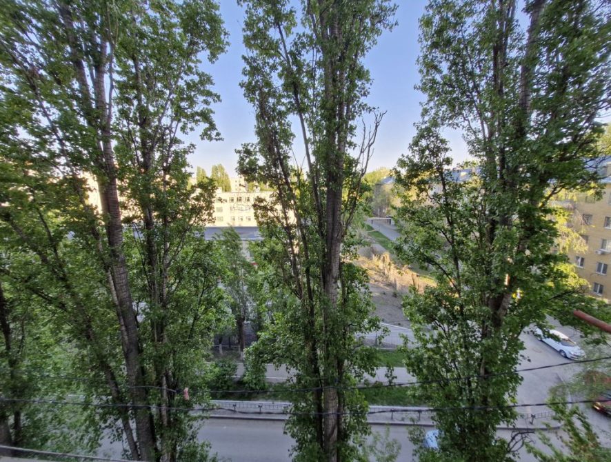 6818d296c23554.11729311