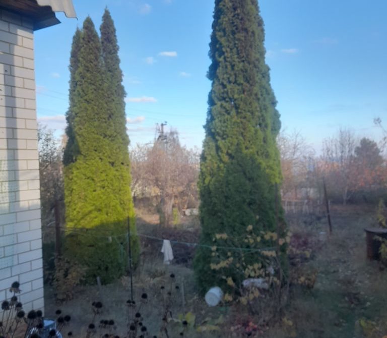 691b029b5c59b4.44288125