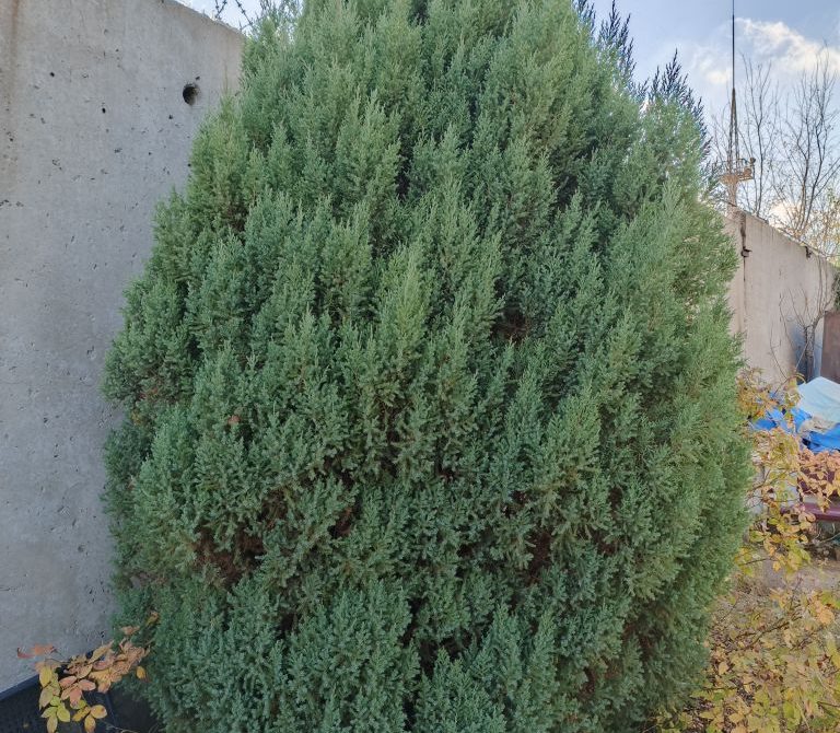 691b02c07e1c90.36459685