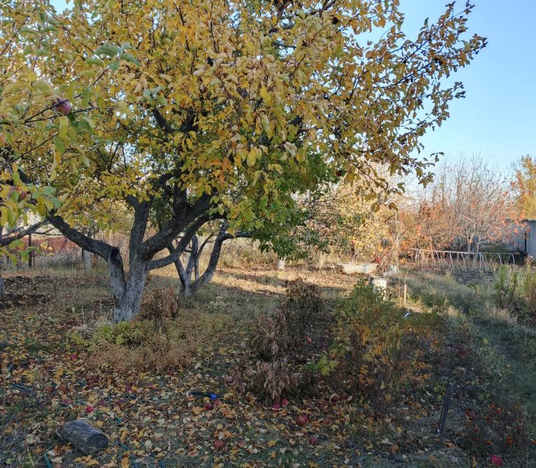 691b02c1c4d3b7.56723759