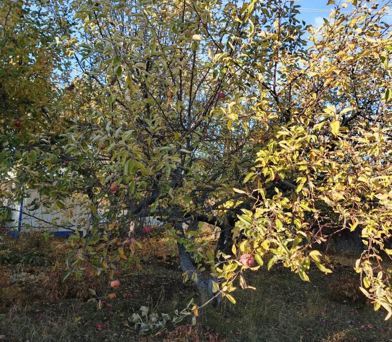 691b02c3e68f59.16459325