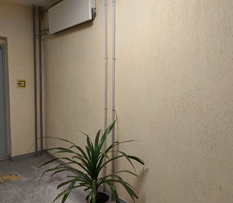 692899124233d4.22032940