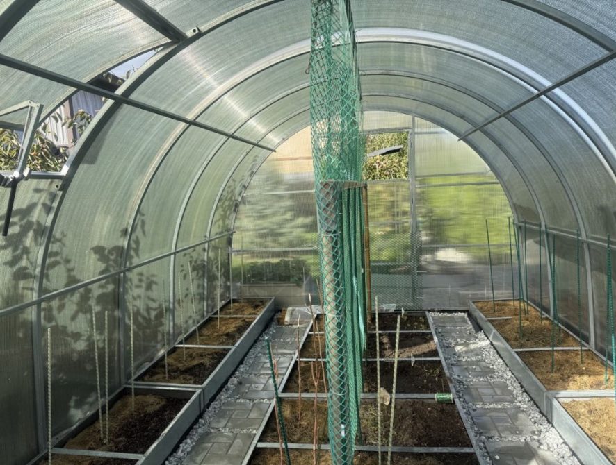 697378ffca3439.42125684