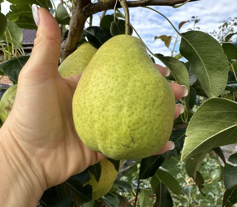 69737901d73da3.82855375