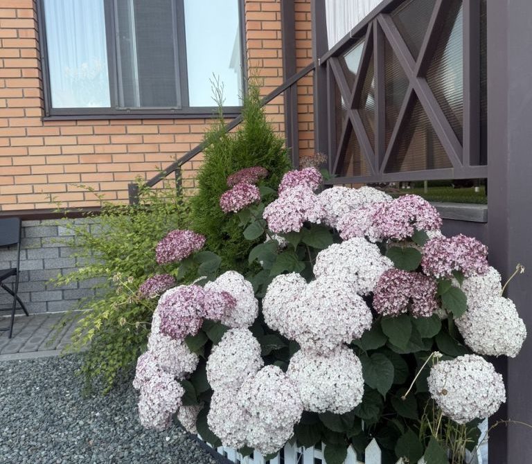 6973790309ef90.46486824