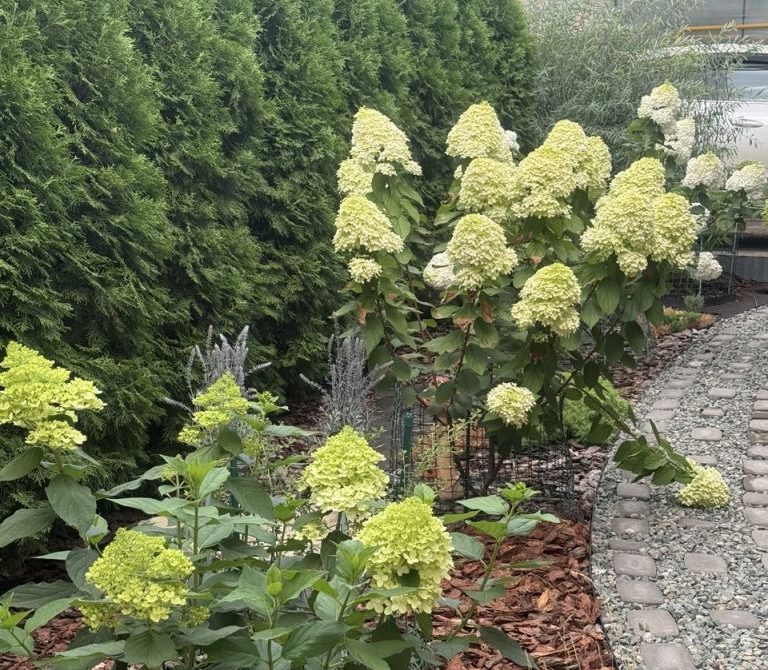 697379042e7ba6.26217635