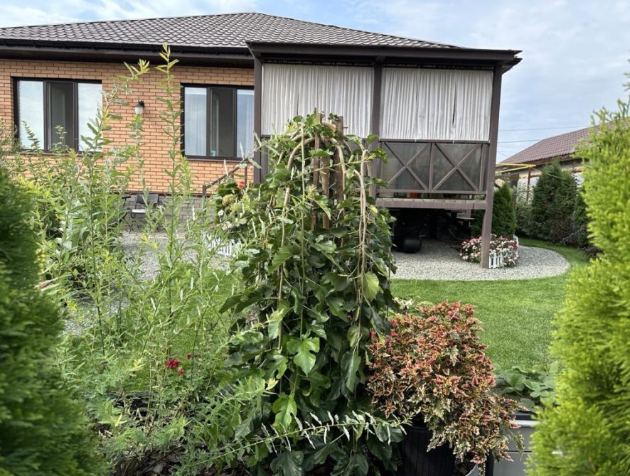 697379046e4627.59583045