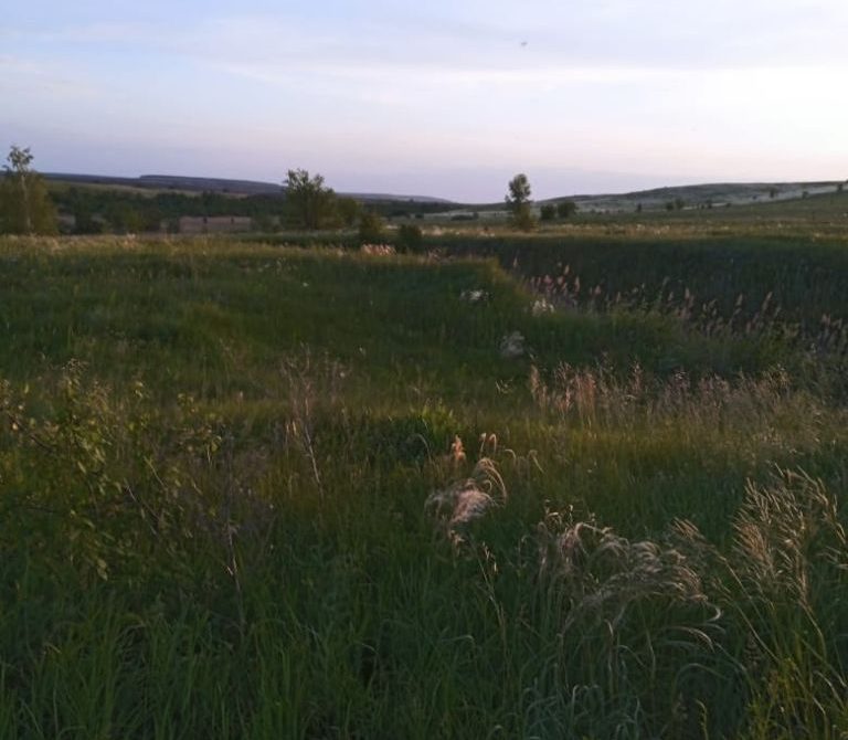 68ff42d5e70f33.83609303