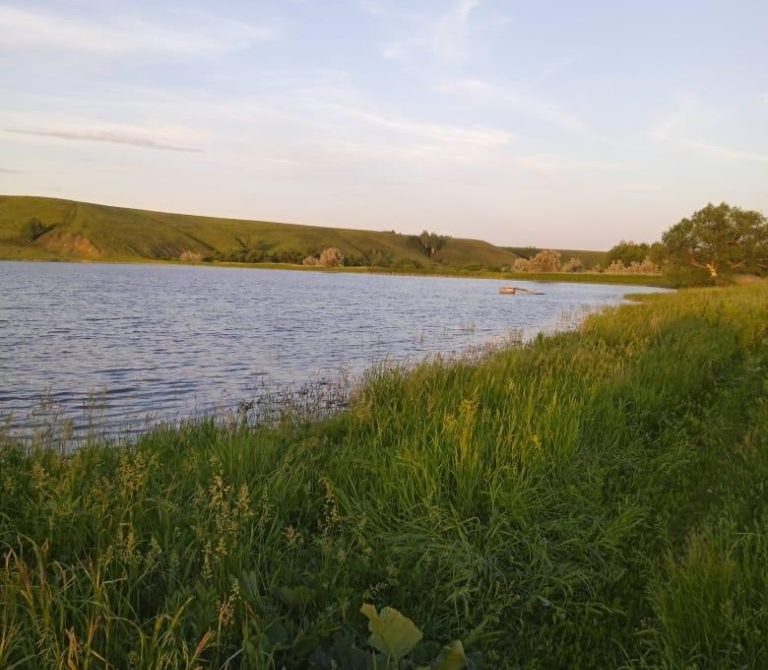 68ff42f8754fa0.31065045