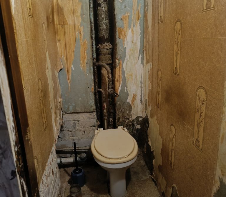 69314a1c379308.64390762