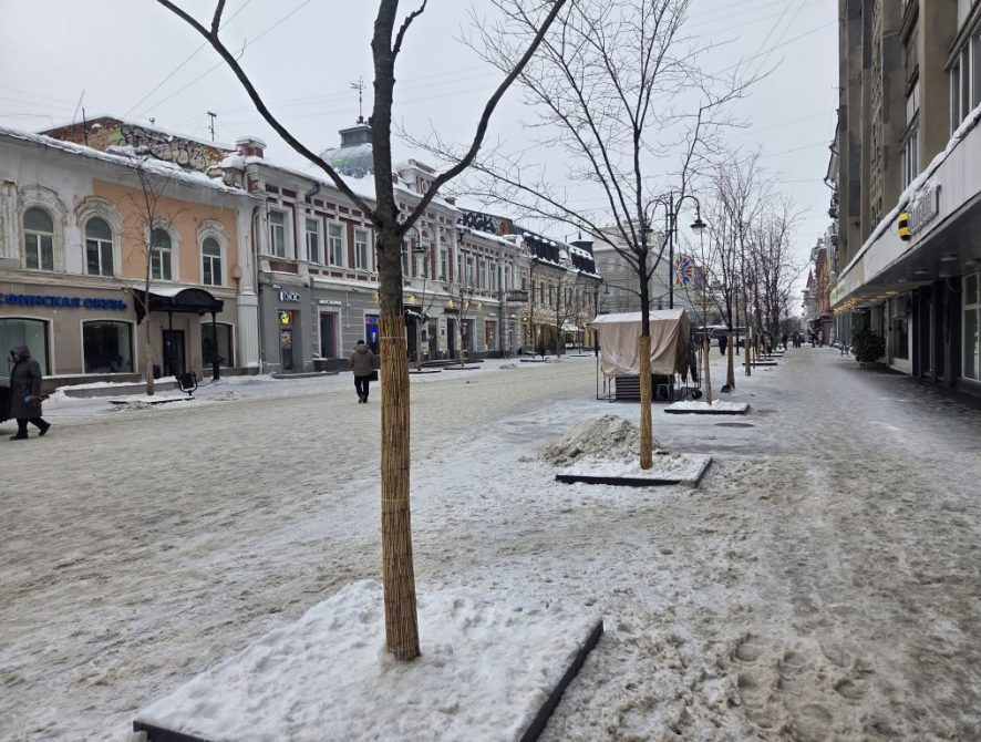 697eed6a09b346.04132166