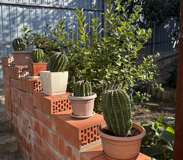 68c93ae59e0330.40963400