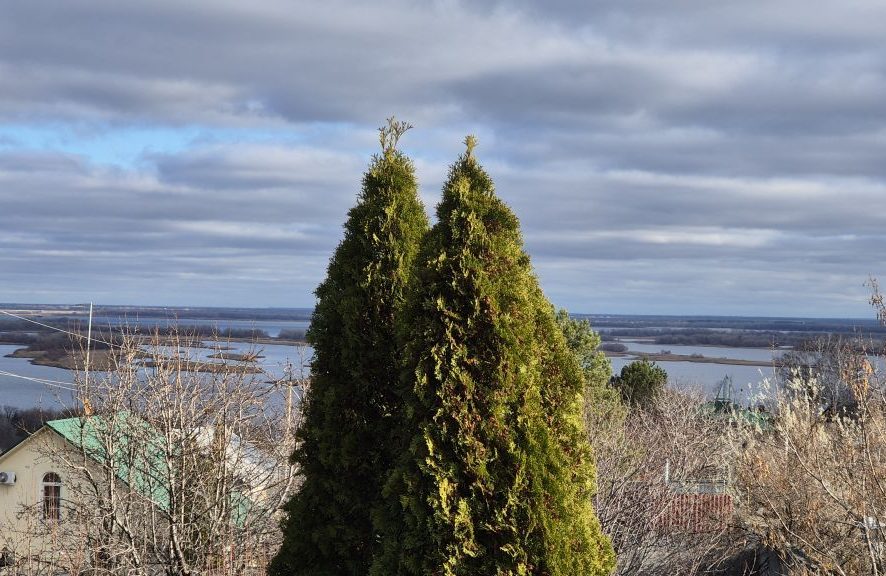 699fe87a5ab858.55263735