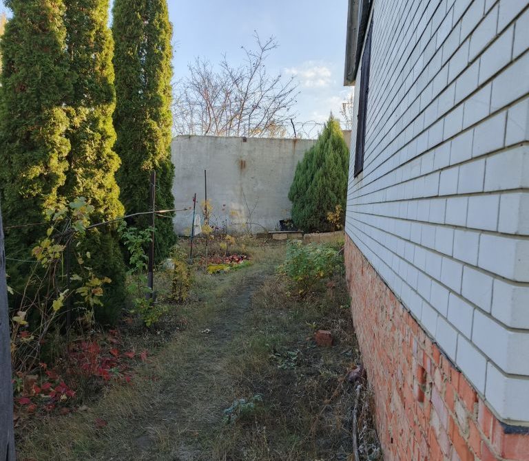 699fe87b0d1352.54183648