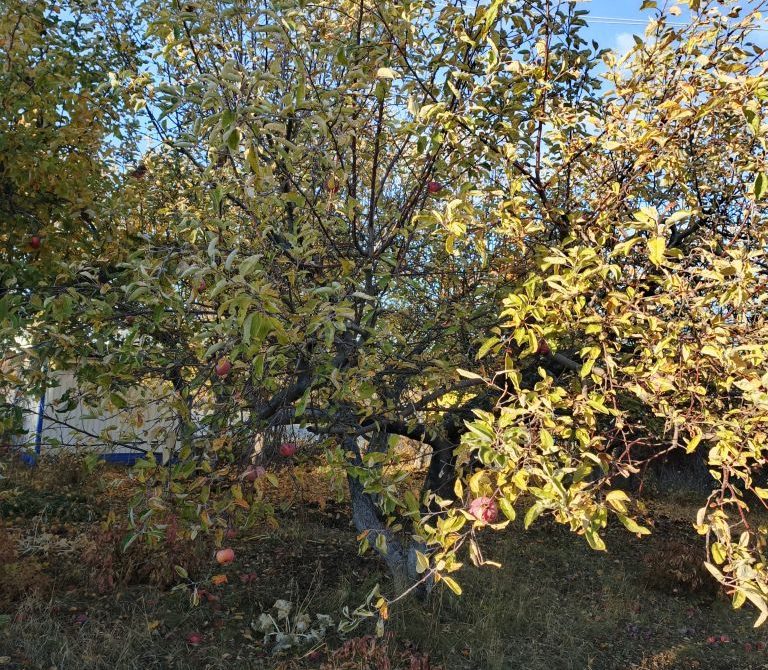 699fe87bd51660.41429477