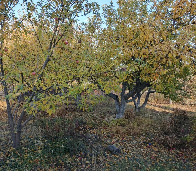 699fe87c706d71.77472806