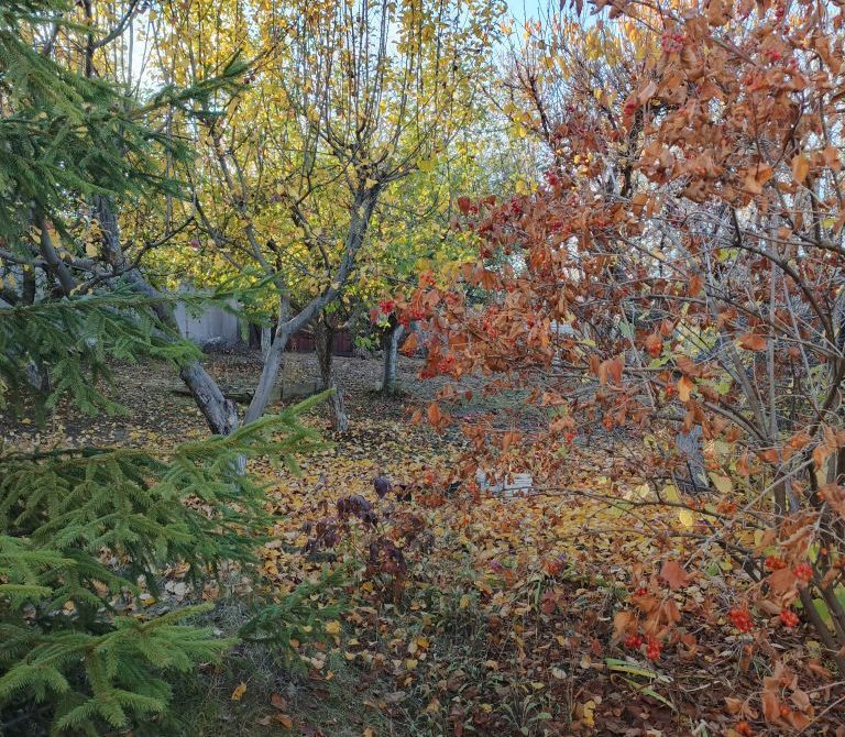 699fe87cabda45.83278898