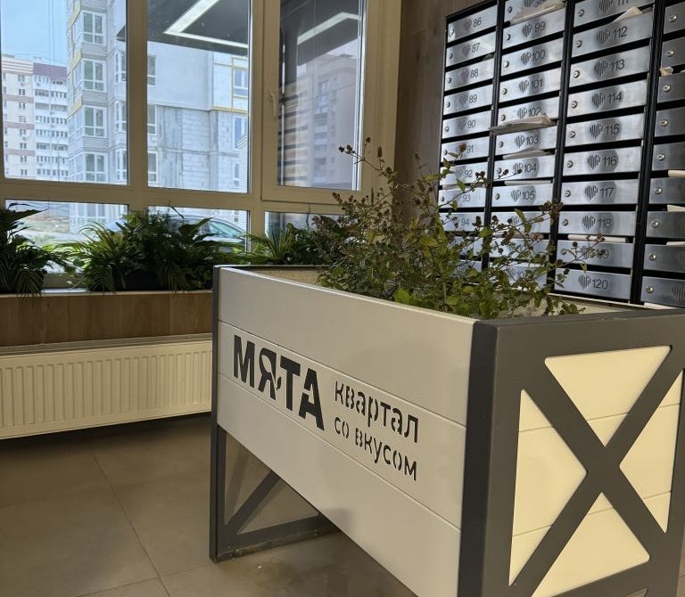 67eba72df014c1.85229702