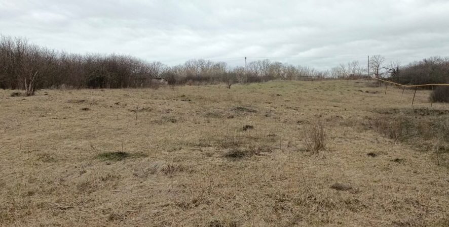 67f3c746ad95c2.37751435