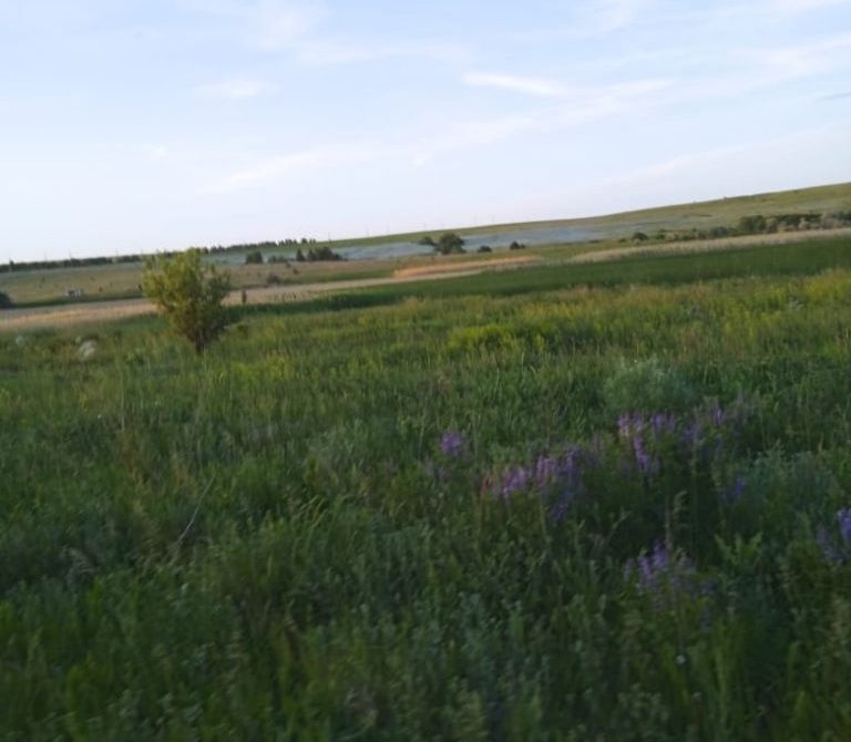 68ff42d5841f09.32304057