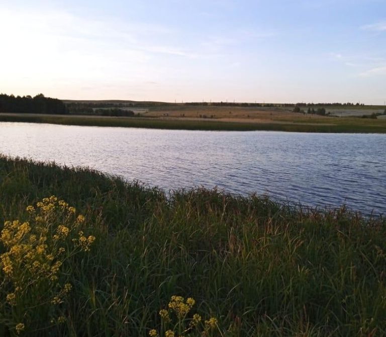 68ff42f83799a2.29102608