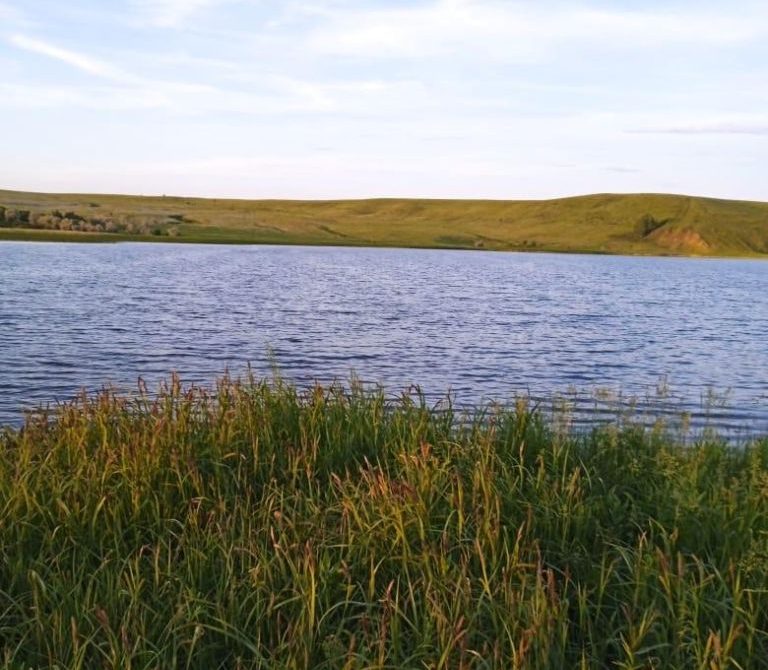 68ff42f9004e32.11084501