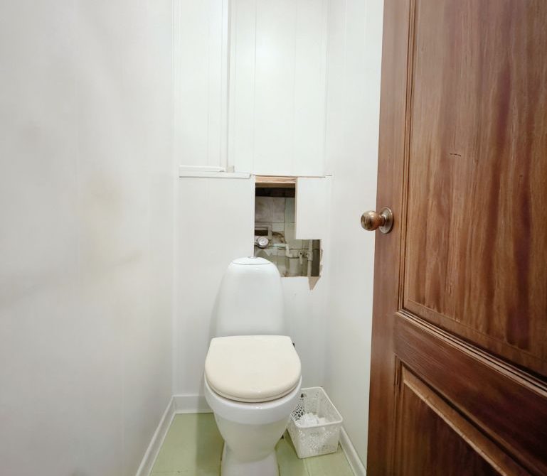 69d8c81fc56ba1.16254823