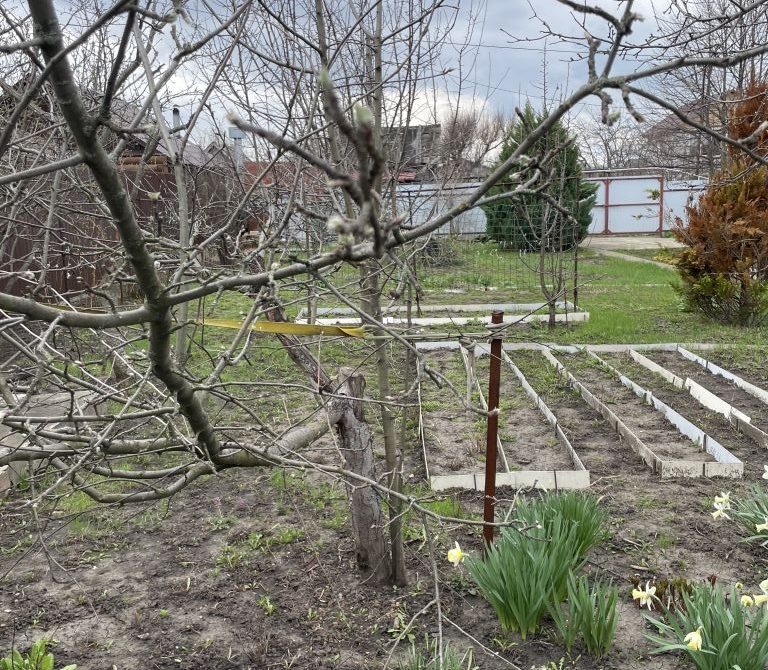 69e5df9fafbcf7.22340066