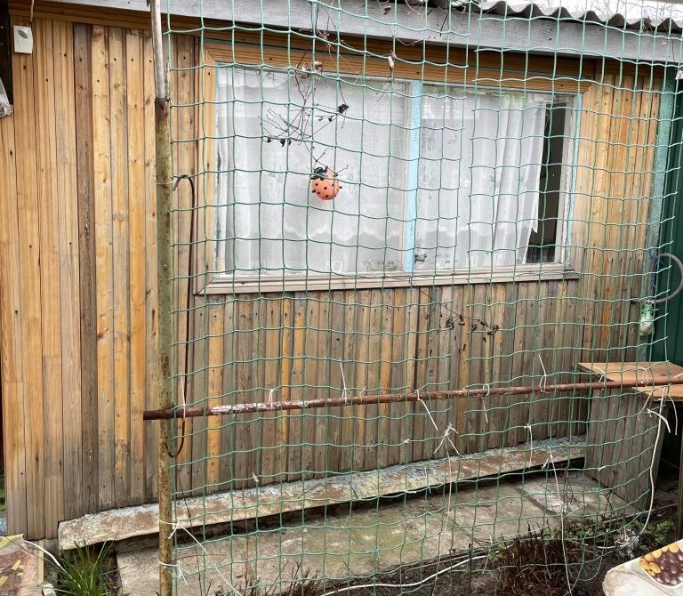 69e5dfb5becfc8.16511216