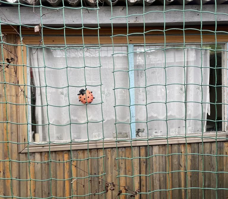 69e5dfb838a056.77515783