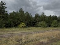 продажа, участок, Большая Лесопарковая ул, Саратов