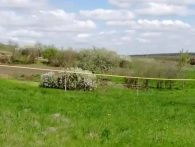 продажа, участок, , Федоровка с